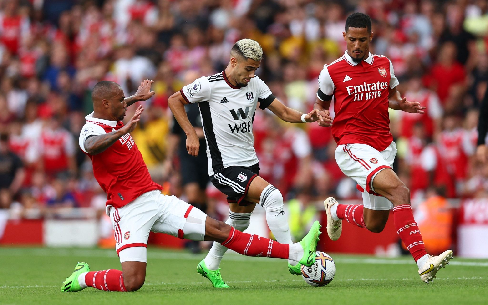 培养年轻球 培养年轻球