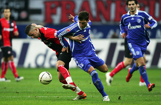 郑钦文近年 郑钦文近年