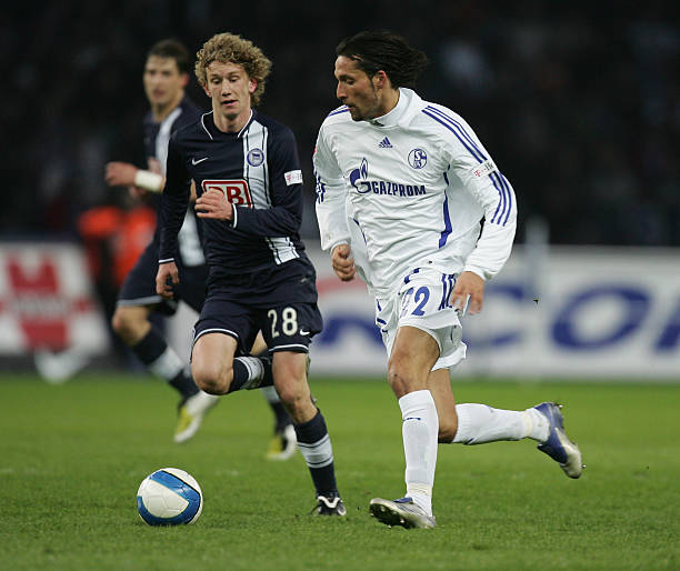 他们在职业 他们在职业